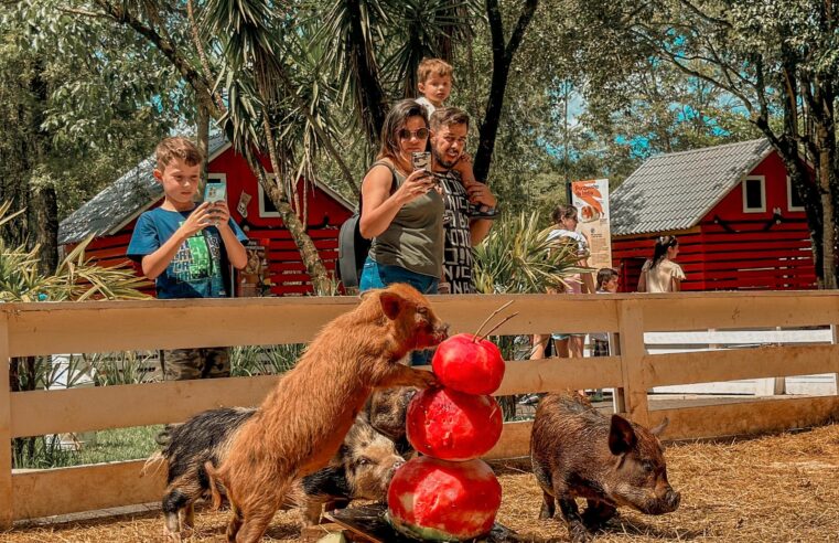 Eco Park Foz promove Enriquecimento Ambiental de Verão com frutas congeladas e convida público para viver um dia completo no parque