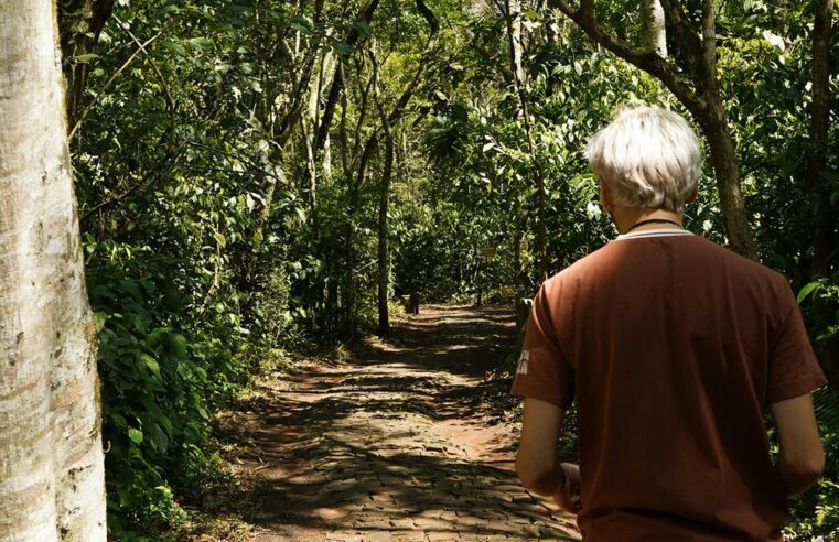 Foz do Iguaçu ganha nova experiência sensorial com o Luau 4 Elements by Sanma