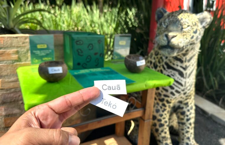 Dar nome é criar conexão: Eco Park Foz e Projeto Onças do Iguaçu convidam público a nomear nova onça-pintada