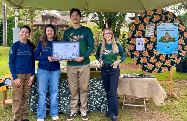 Visitantes do Eco Park Foz escolhem nome de onça encontrada no Parque Nacional do Iguaçu