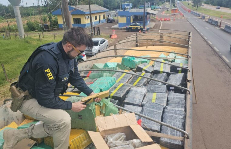 PRF apreende grande quantidade de maconha na BR-163 em Lindoeste (PR)