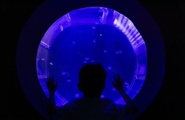 Páscoa no AquaFoz reúne oficinas, caça aos ovos e recreações para o público infantil