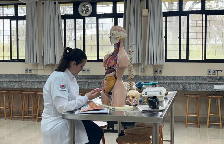 USP e Unioeste abrem inscrições para Doutorado em Enfermagem em Foz