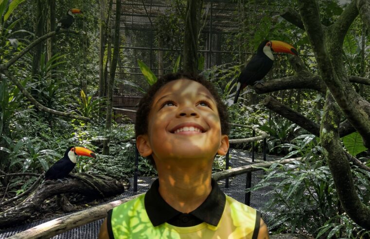 Última semana para garantir vaga na Colônia de Férias do Parque das Aves