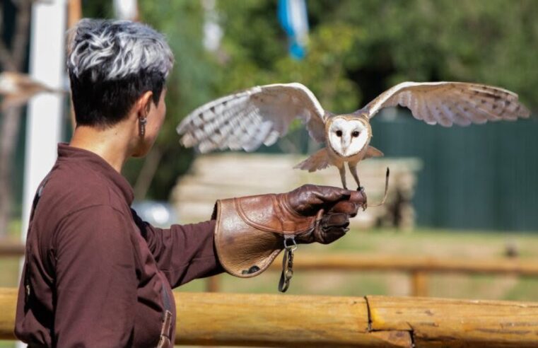 Férias de julho: Zoo Park Foz lança experiência inédita que aproxima visitantes de animais silvestres