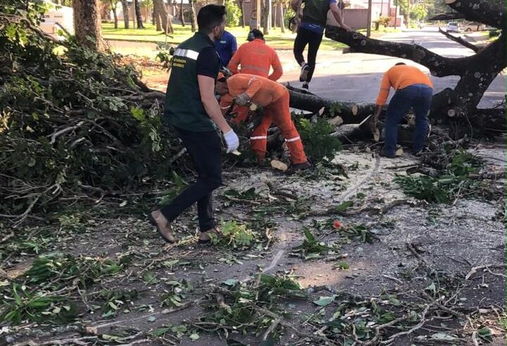 No dia de hoje (18 JULHO), foi registrada a situação de Ventos fortes
