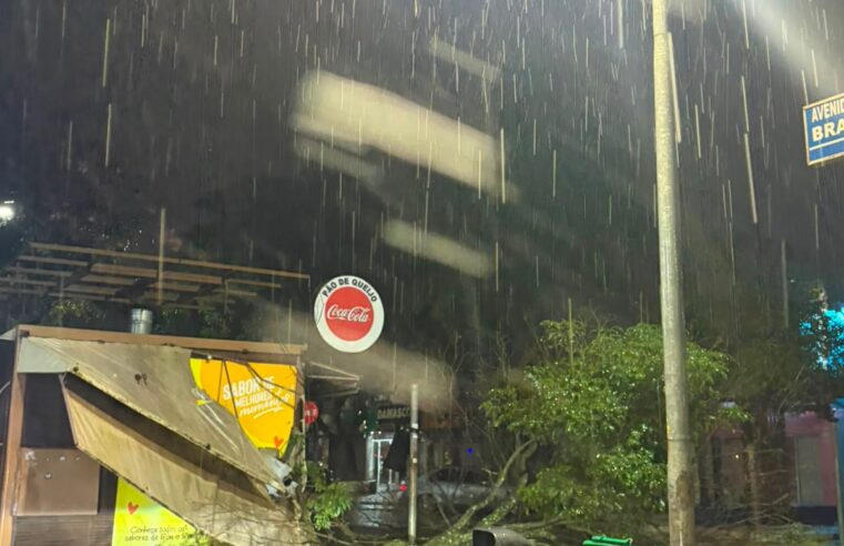 Temporal provoca&nbsp; alagamentos em várias ruas&nbsp; e queda de árvore na Avenida Brasil