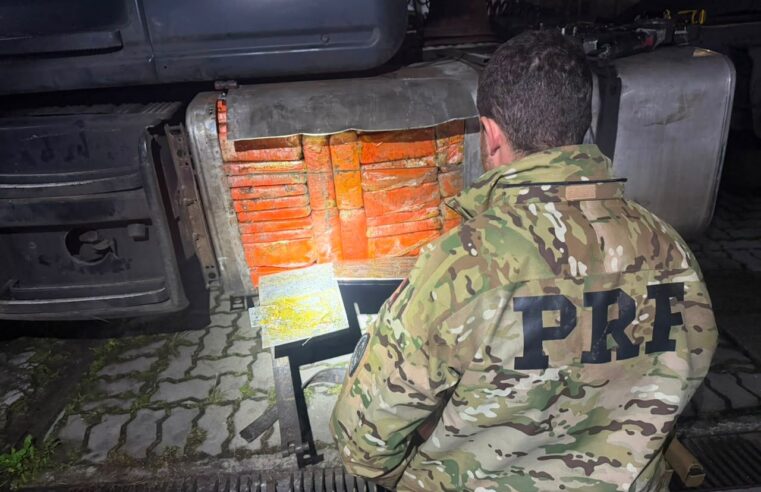 Com cães farejadores, PRF apreende maconha dentro de tanque de combustível em Balsa Nova (PR)