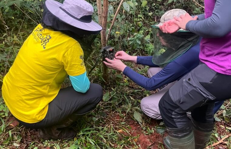 Projeto Frutos do Iguaçu realiza curso sobre formação de viveiros com espécies nativas da Mata Atlântica
