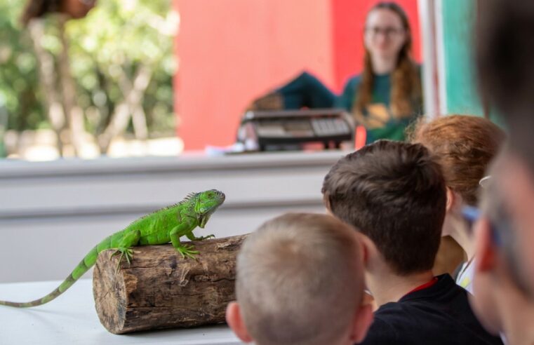 Comemoração: Moradores de Foz e municípios lindeiros pagam R$ 15 para visitar o Zoo Park Foz