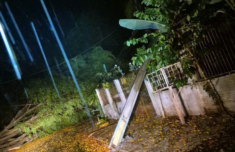 Tempestade provoca alagamento, queda de árvores e danos à rede elétrica em Foz do Iguaçu