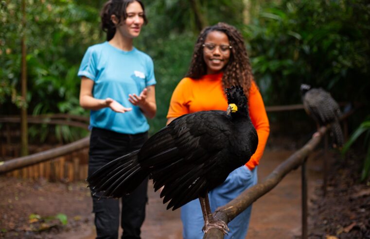 Dia da Ave destaca observação de aves como atividade que conquista novas gerações