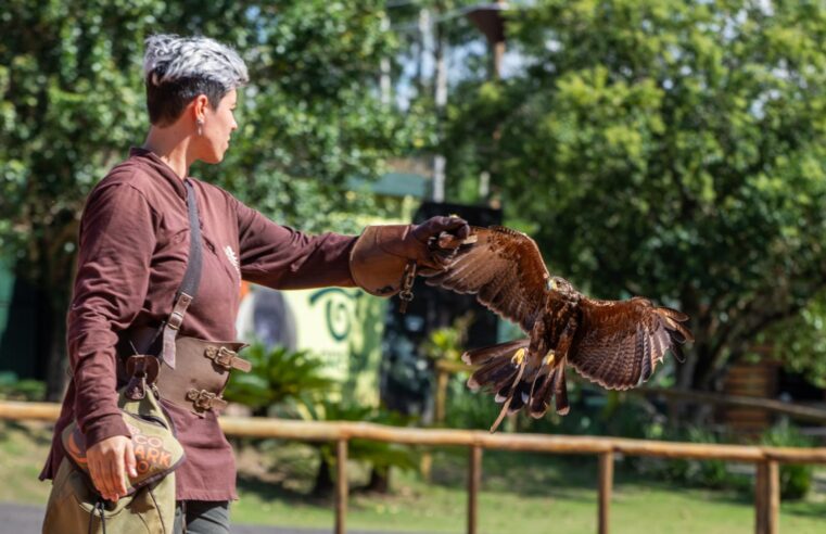 Dia das Crianças no Zoo Park Foz terá até 40% de desconto para iguaçuenses e moradores de municípios lindeiros