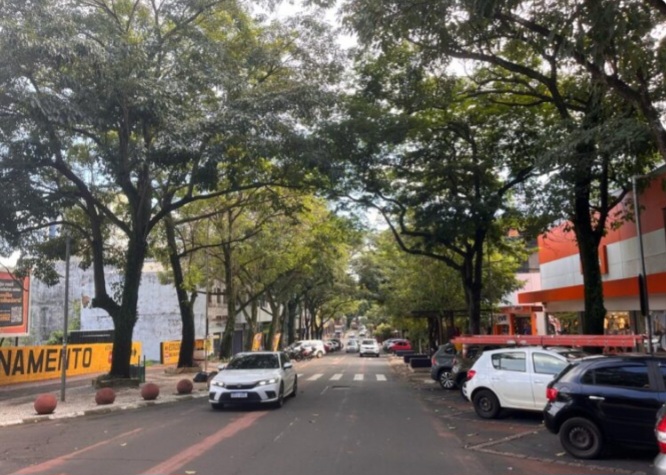 Secretaria Municipal de Meio Ambiente vai realizar serviços de poda de árvores na Avenida Brasil a partir de 3 de novembro